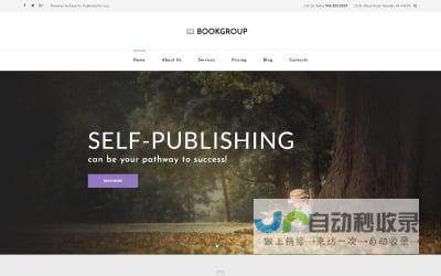 网站建设指南：选择合适的平台、设计与推广，助你成功上线
